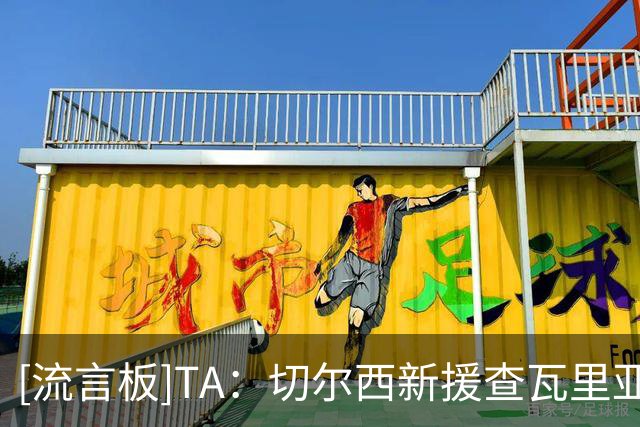 [流言板]TA：切尔西新援查瓦里亚体能出色，但对抗一般/防守数据平庸